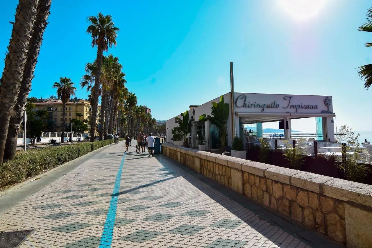 P&P Apartamentos Paseo Maritimo Pablo Ruiz Picasso Malaga Apartment